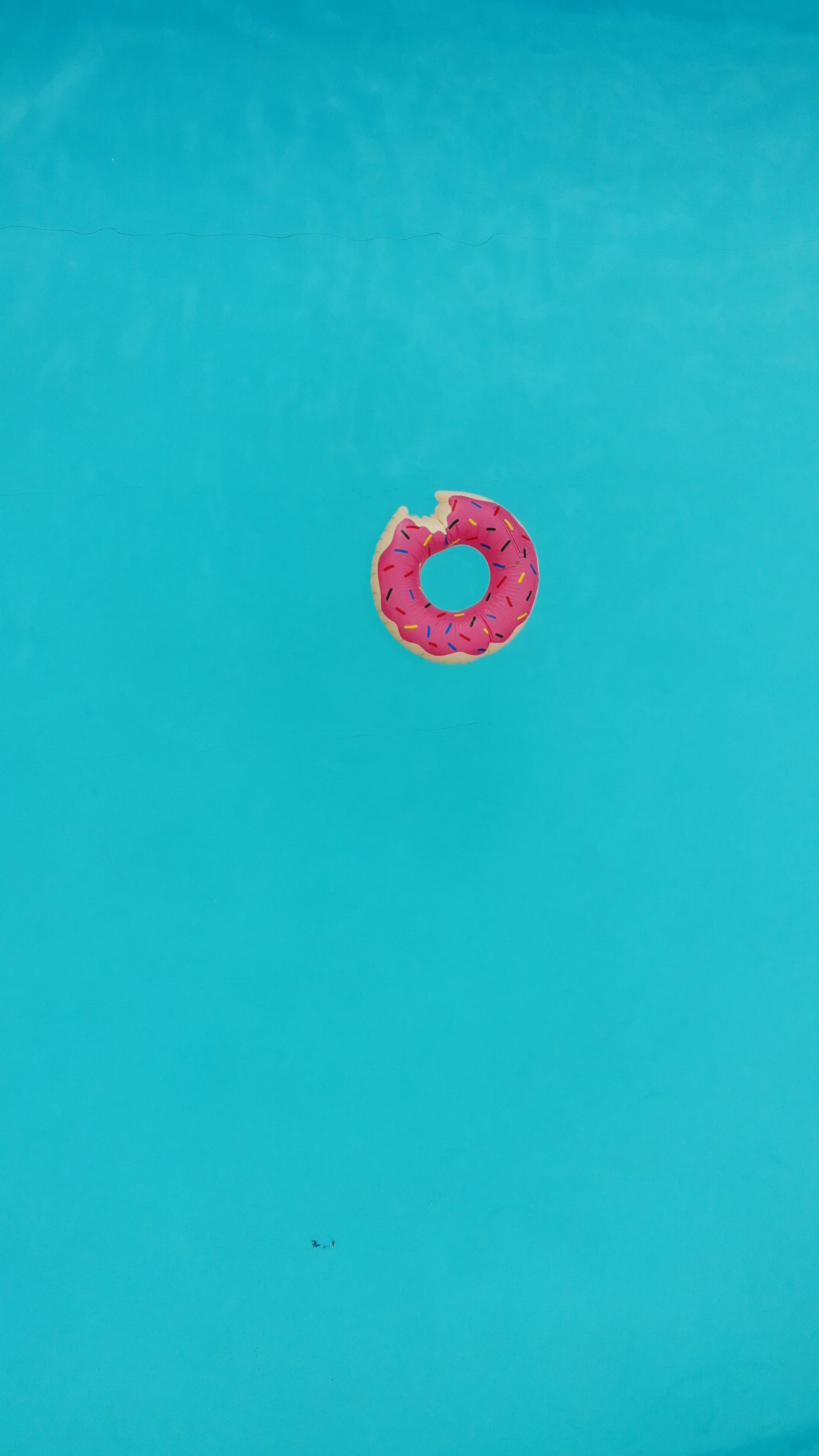 Lake Festival Summer Vibes